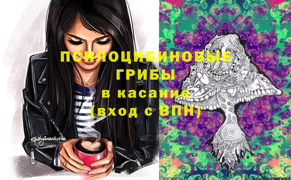 гашик Алексеевка