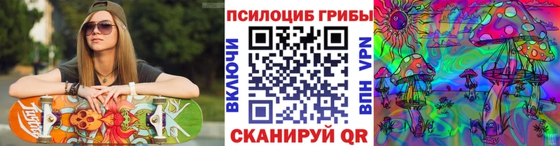 Галлюциногенные грибы Psilocybine cubensis  Бронницы 
